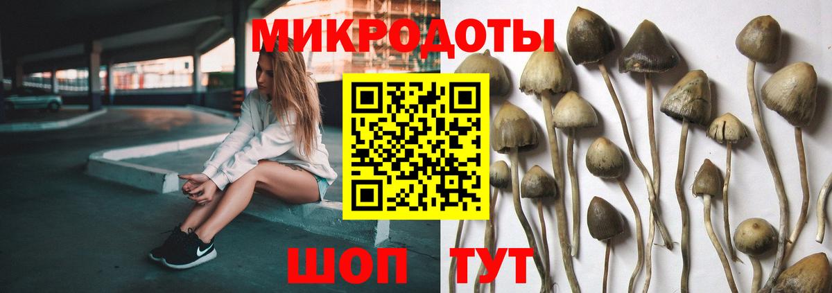 Усть-Илимск  Псилоцибиновые грибы GOLDEN TEACHER  где можно купить наркотик  Вход с VPN  Галлюциногенные грибы Magic Shrooms 